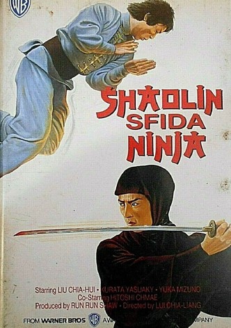 Shaolin sfida ninja