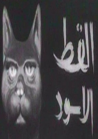 القط الأسود