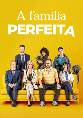The Perfect Family