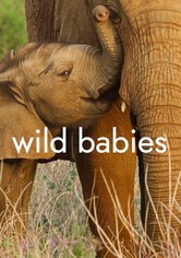 Wilde Babys