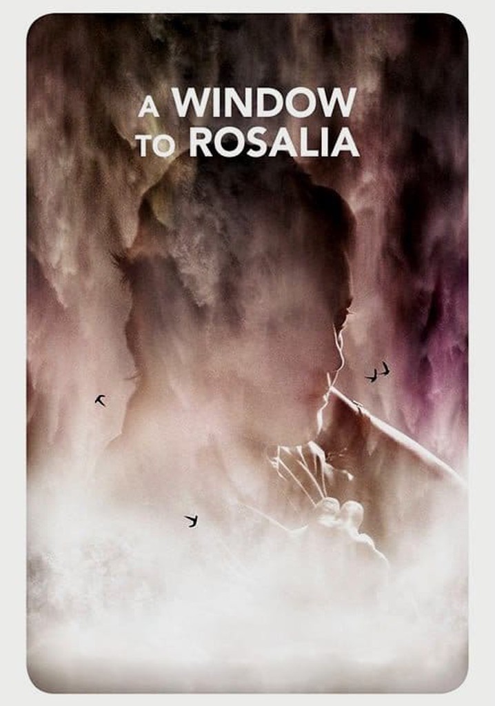 A Window to Rosália
