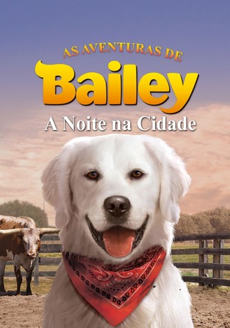 As Aventuras de Bailey: A Noite na Cidade