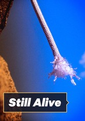 Still Alive