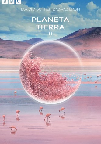 Planeta Tierra II