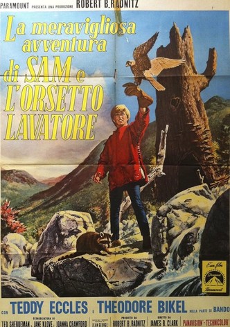 La meravigliosa avventura di Sam e l'orsetto lavatore