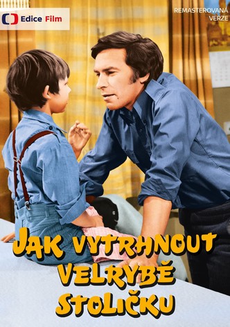 Jak vytrhnout velrybě stoličku