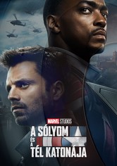 A Sólyom és a Tél Katonája