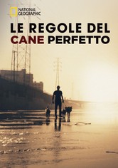 Le Regole del Cane Perfetto