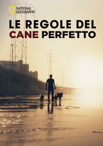 Le Regole del Cane Perfetto