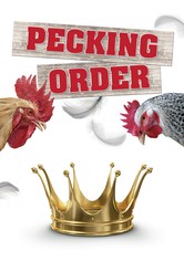 Pecking Order