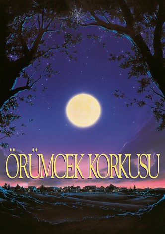Örümcek Korkusu