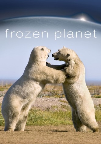 Frozen Planet - Season 1
