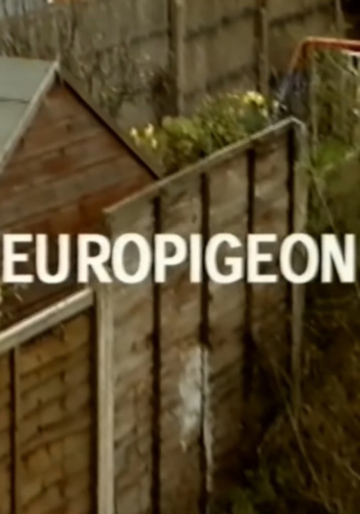 Europigeon