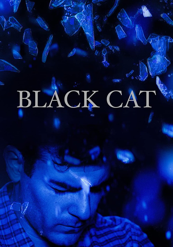 Black Cat