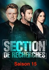 Section de recherches - Saison 15