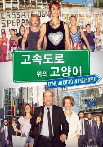 고속도로 위의 고양이