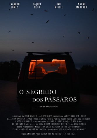 O Segredo dos Pássaros