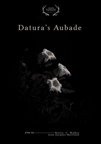 Datura's Aubade