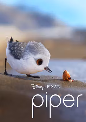 Piper