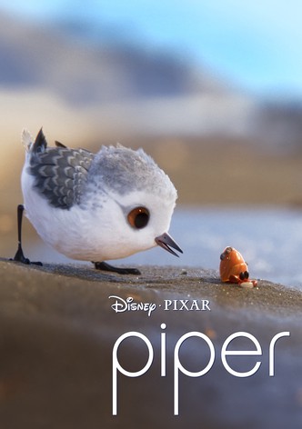 Piper