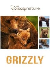 Grizzly