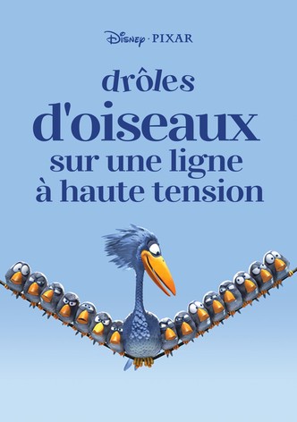 Drôles d'oiseaux sur une ligne à haute tension