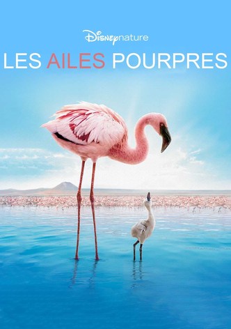 Les Ailes pourpres : Le Mystère des flamants