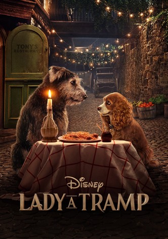 Lady a Tramp