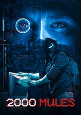 2000 Mules