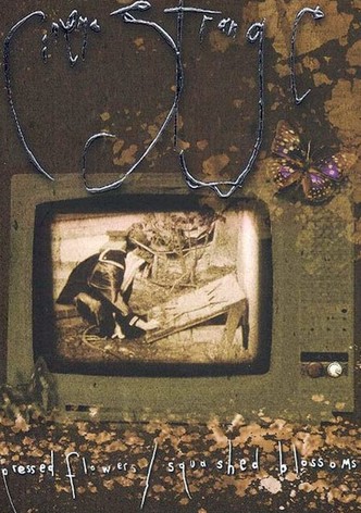 Cinema Strange: Pressed Flowers / Squashed Blossoms