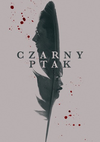 Czarny ptak