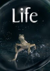 Life