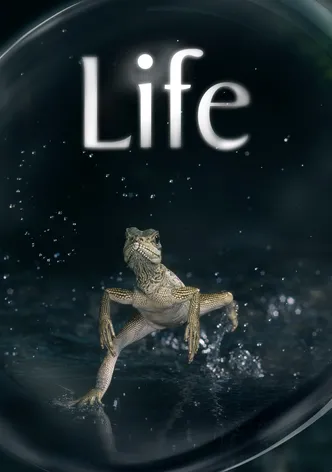 Life poster