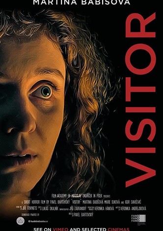 Visitor