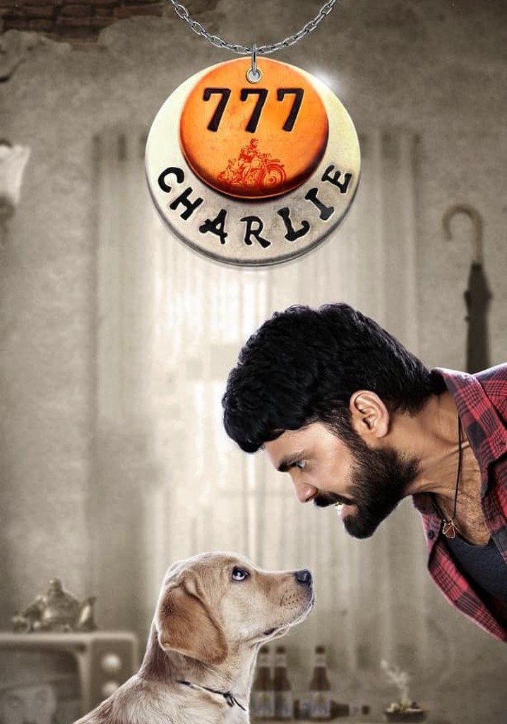 777 Charlie movie where to watch stream online