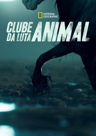 Clube da Luta Animal