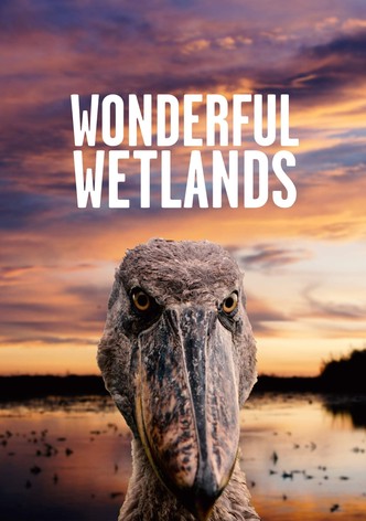 Wonderful Wetlands