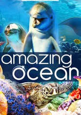Amazing Ocean 3D
