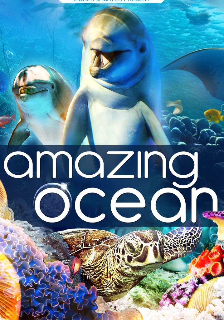 Amazing Ocean 3D
