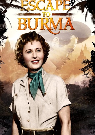 Les rubis du prince birman