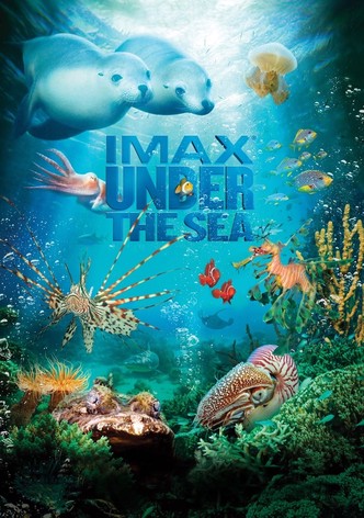 Under the Sea 3D