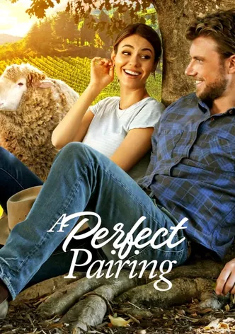 A Perfect Pairing poster