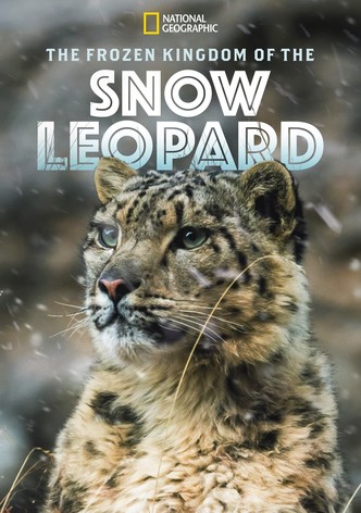 The Frozen Kingdom of the Snow Leopard