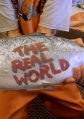 The Real World - Sezon 7