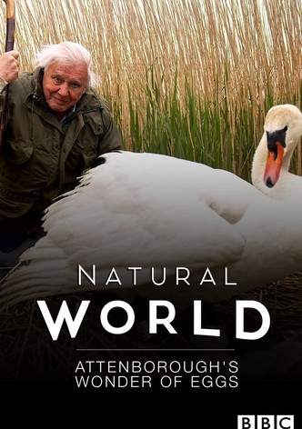 Attenborough's Wonder of Song