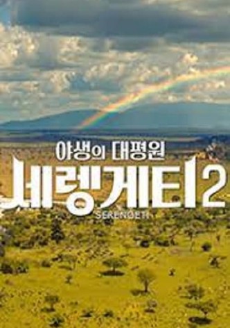 설 특선다큐 야생의 대평원 세렝게티