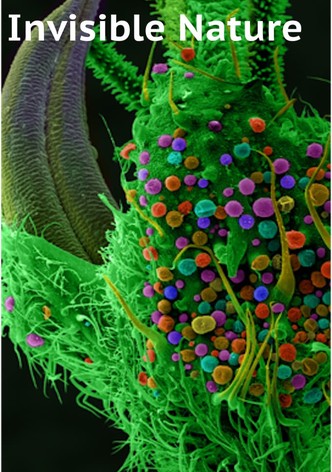 Die geheime Welt der Pflanzen