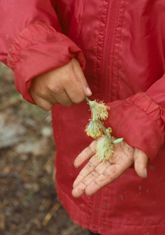 We know a better word than happy