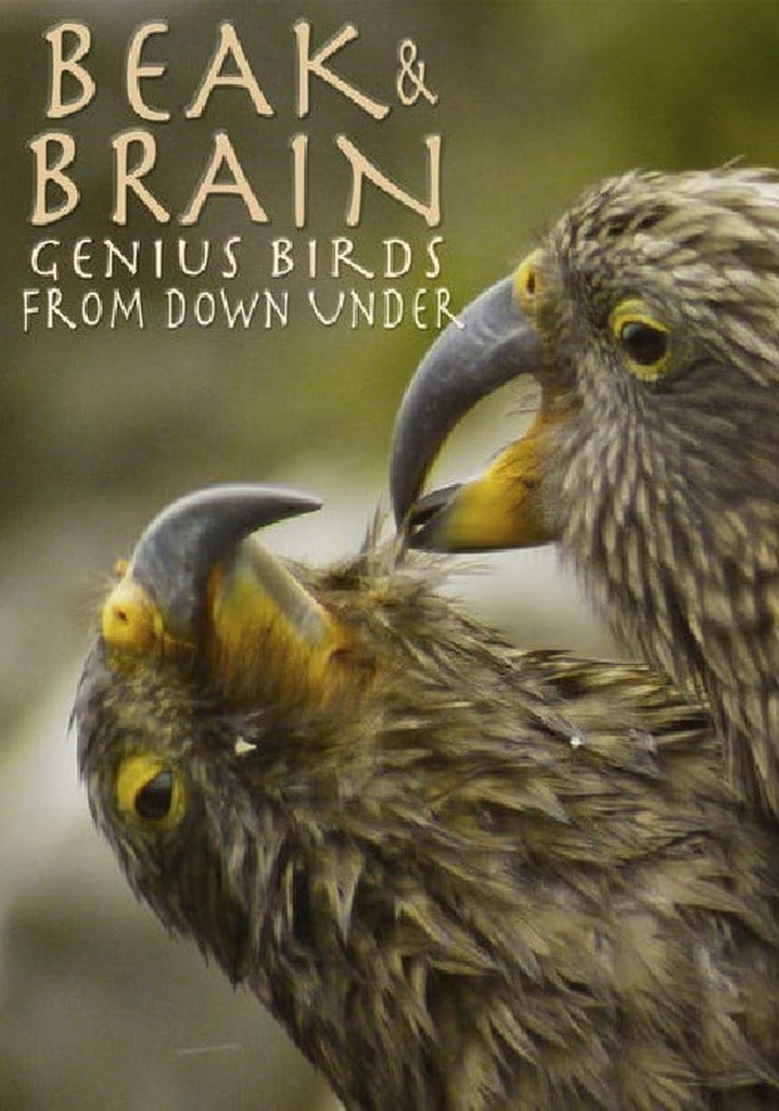 Beak & Brain - Genius Birds from Down Under