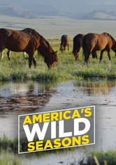 America's Wild Seasons